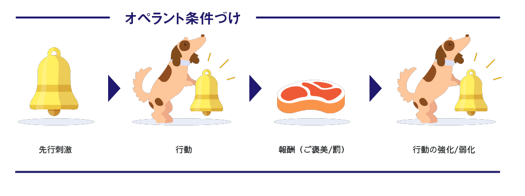 オペラント条件づけとは?道具的条件付け・古典的条件付けとの違いや活用例も – ABFLY Works株式会社